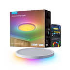 Govee Smart RGBICWW Ceiling Lights
