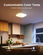 Govee Smart RGBICWW Ceiling Lights
